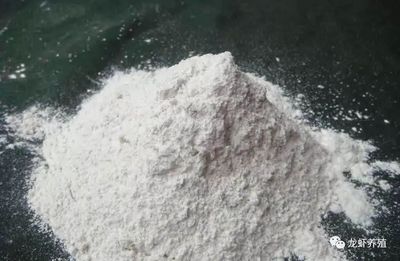 养殖常用的生石灰,你真了解吗?有哪些好处和禁忌?